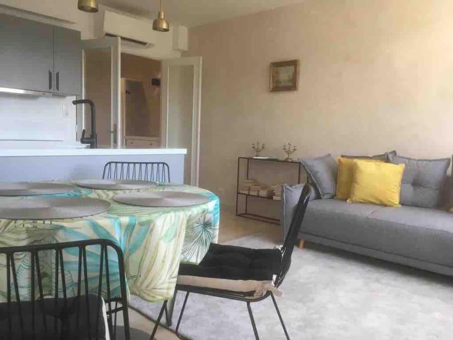 Apartment 2 Bedroom In Near The Cannes